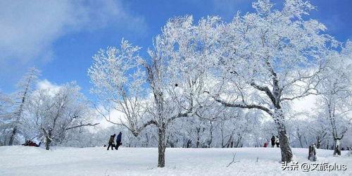 适合做头条的雪景图片