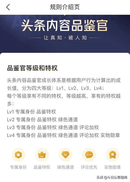头条品鉴官资格通过,解码内容品质的权威认证