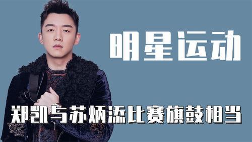 明星 运动天赋有哪些,天赋异禀，运动场上的璀璨之星