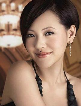 syh的明星,闪耀星途，璀璨人生