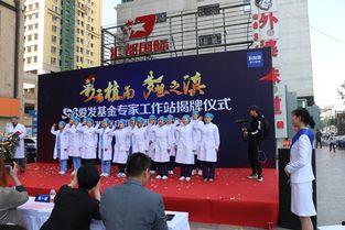 吴一菲明星,璀璨星途，闪耀银幕的璀璨明珠