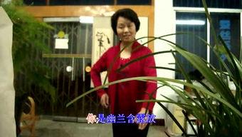 明星郑淑兰,星光璀璨的影视界璀璨之星