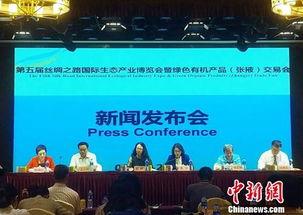 甘肃张掖新闻头条视频,探寻张掖历史文化新篇章