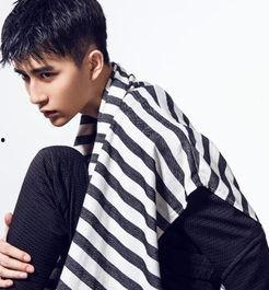 大明星monst,闪耀舞台的璀璨巨星