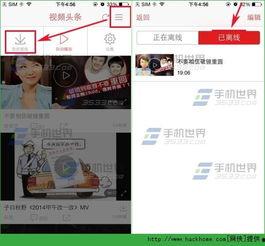 头条交作业视频下载,高效学习新技能
