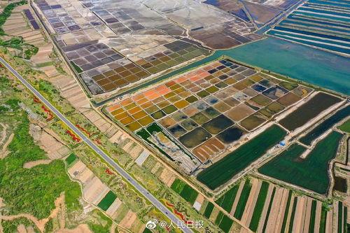 荣成多彩盐田新闻头条