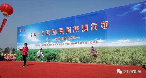 封丘县头条,聚焦本土发展，共话乡村振兴新篇章