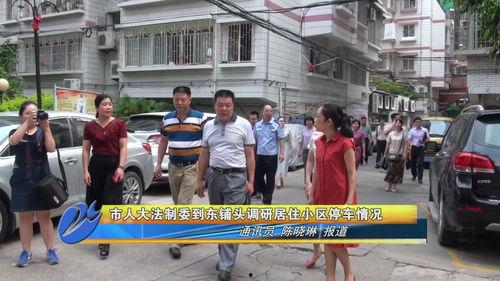 漳州市东坑镇新闻头条,聚焦乡村振兴新篇章