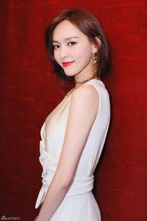 明星全套图片,明星全套图片背后的故事与风采