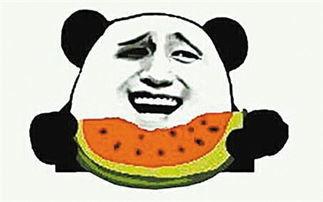 吃瓜群众的瓜子图片,揭秘吃瓜群众的瓜子图片背后的故事