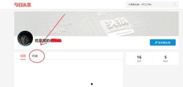 在哪里查看头条收藏,如何轻松查看头条收藏，掌握个性化资讯