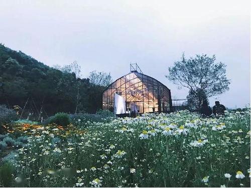 网红农场小房子视频,田园生活新风尚揭秘