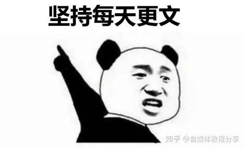 头条号怎么设置动态评论,轻松开启互动新体验